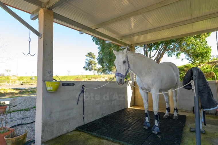 Quinta para Venda em Covilhã e Canhoso Foto 46