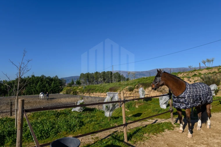 Quinta para Venda em Covilhã e Canhoso Foto 48