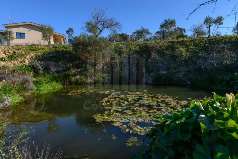 Quinta para Venda em Covilhã e Canhoso Foto 50