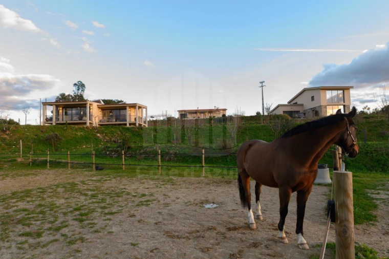 Quinta para Venda em Covilhã e Canhoso Foto 53