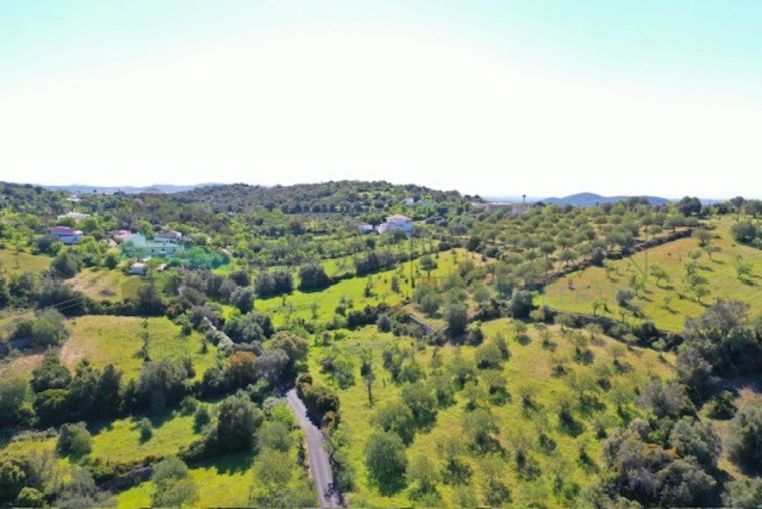 Terreno para Venda em Loule (São Sebastião) Foto 4