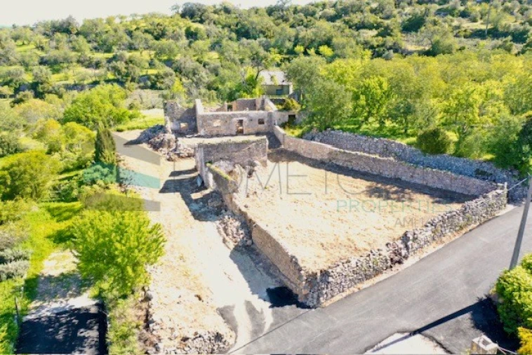 Terreno para Venda em Loule (São Sebastião) Foto 8