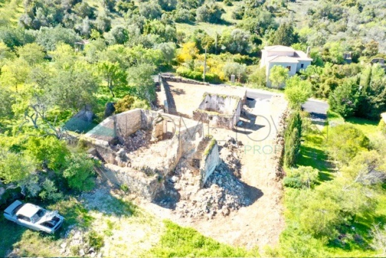 Terreno para Venda em Loule (São Sebastião) Foto 11