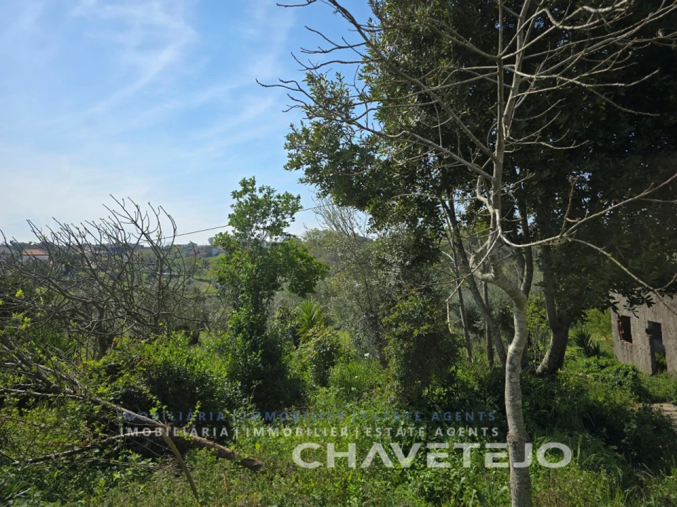 Moradia T2 para Venda em Seiça Foto 41