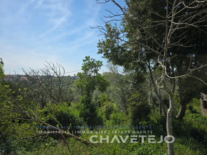 Moradia T2 para Venda em Seiça Foto 42