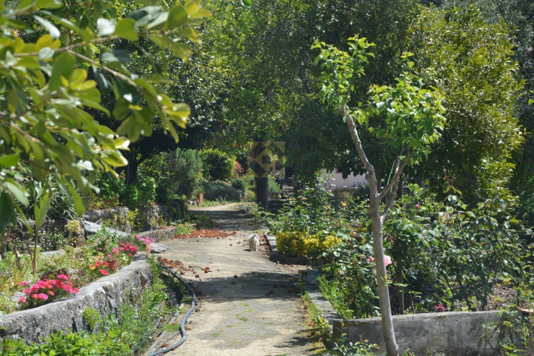 Quinta T3 para Venda em Ribeira do Neiva Foto 20