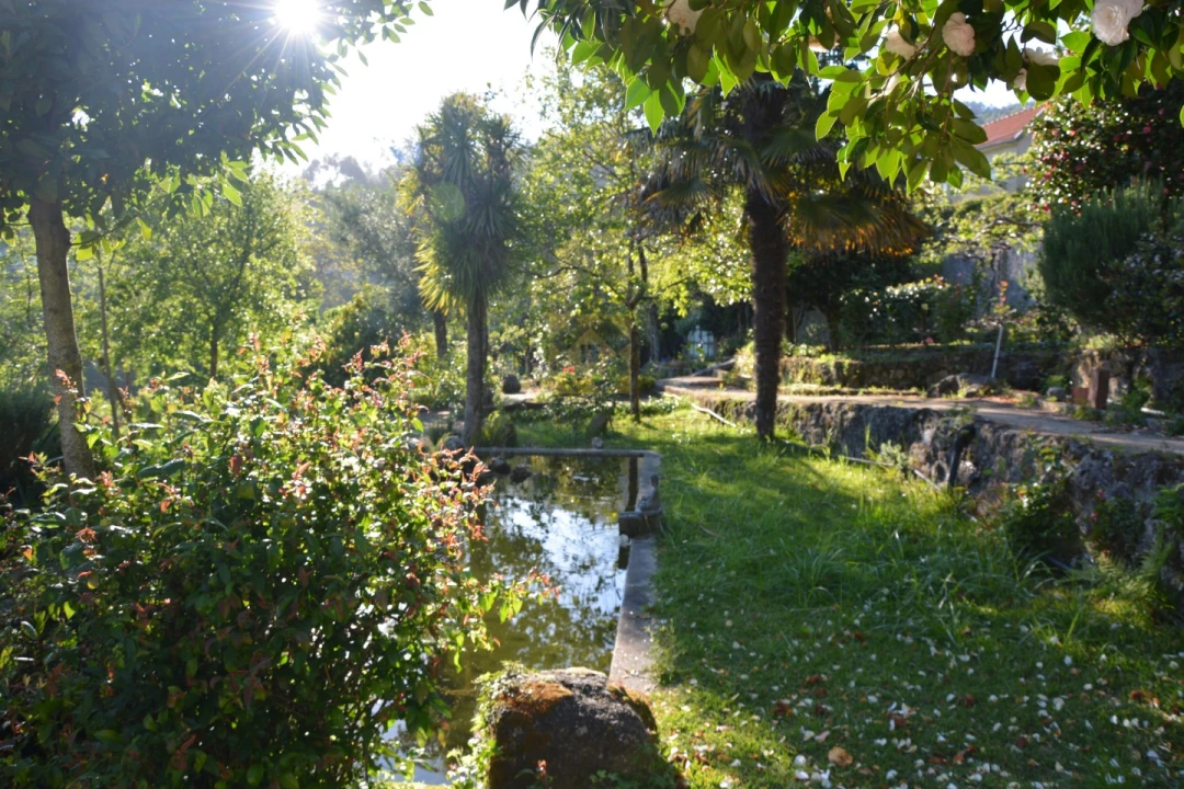 Quinta T3 para Venda em Ribeira do Neiva Foto 22