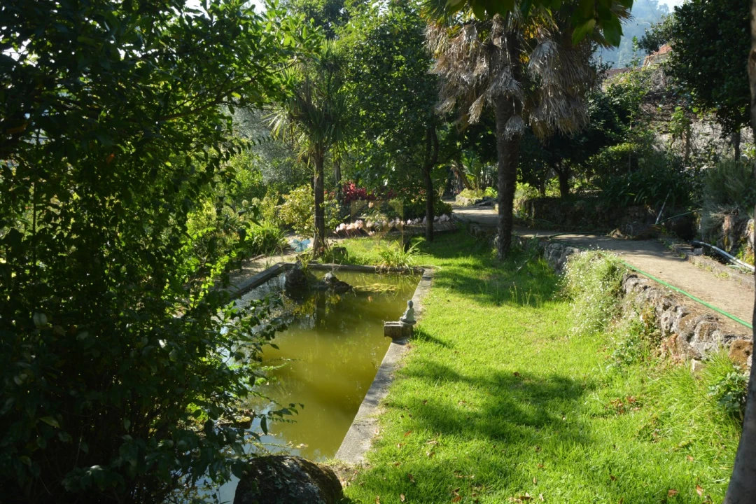 Quinta T3 para Venda em Ribeira do Neiva Foto 27