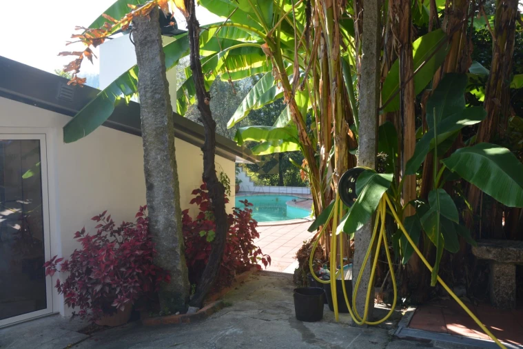 Quinta T3 para Venda em Ribeira do Neiva Foto 9