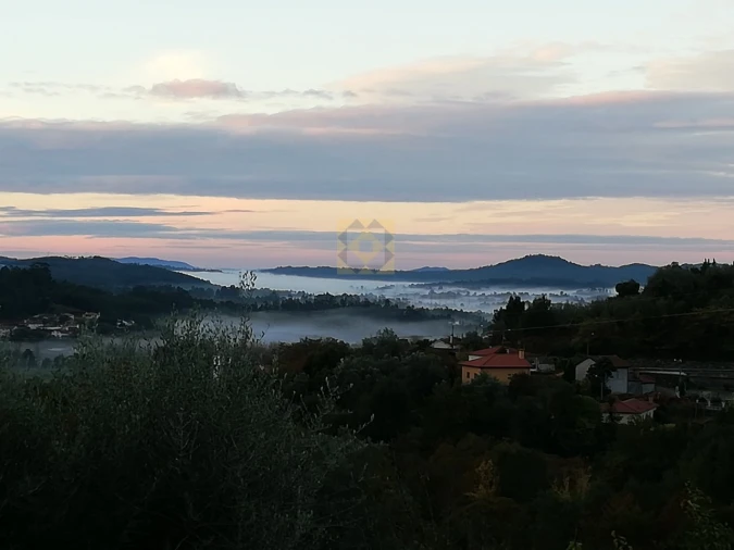 Quinta T3 para Venda em Ribeira do Neiva Foto 18