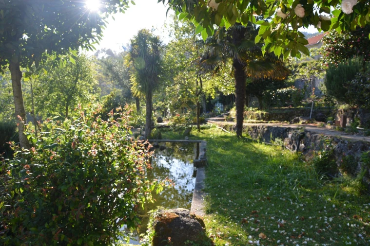 Quinta T3 para Venda em Ribeira do Neiva Foto 22