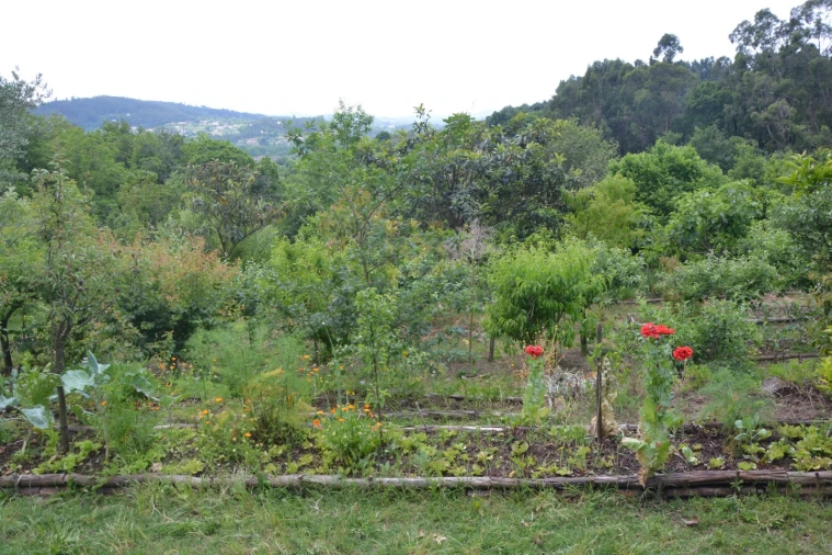Quinta T3 para Venda em Ribeira do Neiva Foto 32