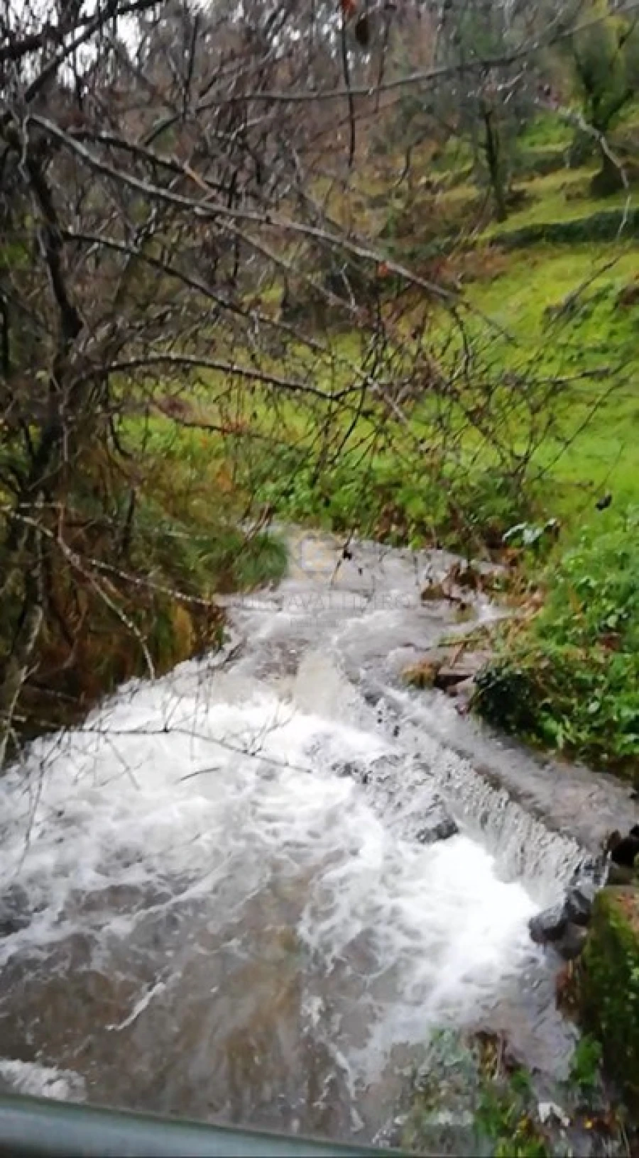 Quinta T3 para Venda em Ribeira do Neiva Foto 39
