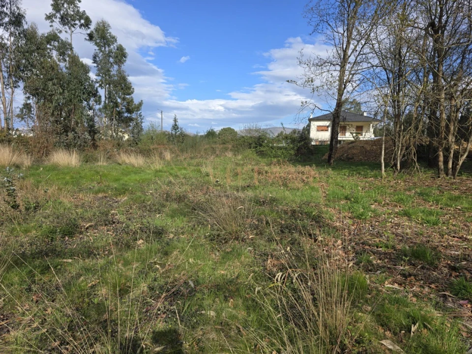 Terreno para Venda em São Julião e Silva Foto 2