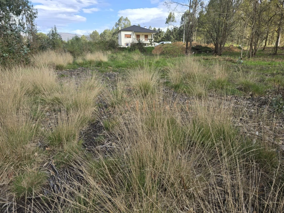 Terreno para Venda em São Julião e Silva Foto 5