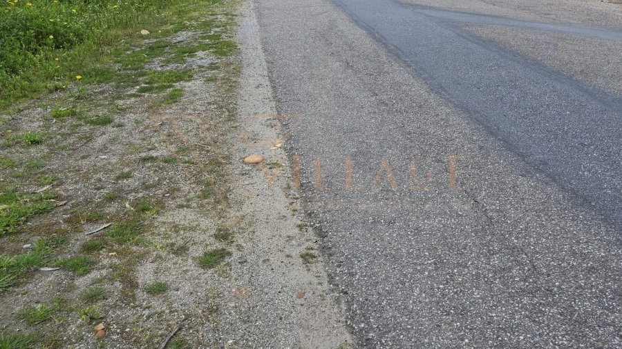Terreno para Venda em São Julião e Silva