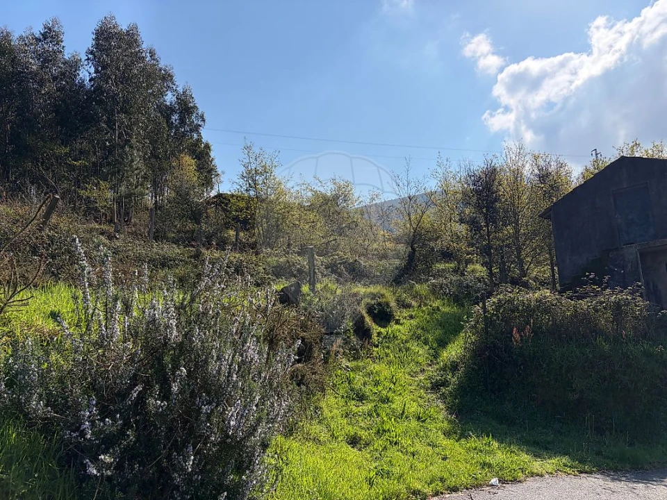 Terreno para Venda em São Pedro de Castelões Foto 4