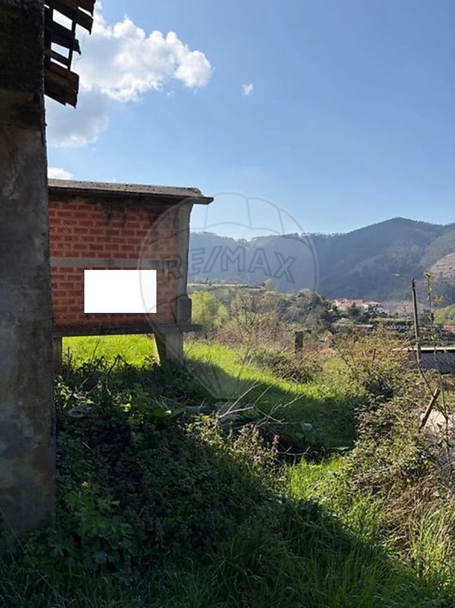 Terreno para Venda em São Pedro de Castelões Foto 9
