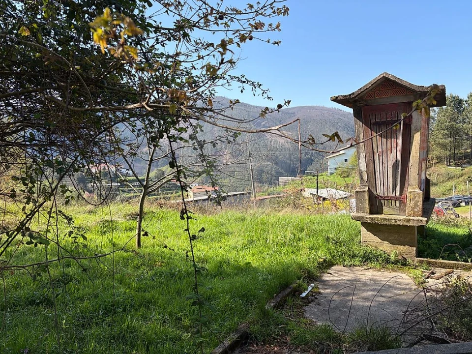 Terreno para Venda em São Pedro de Castelões Foto 1