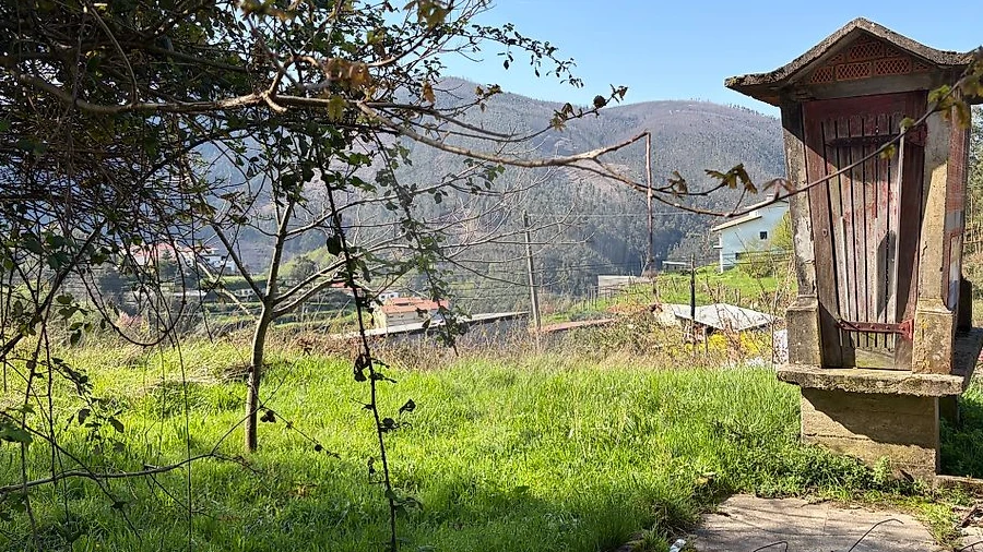 Terreno para Venda em São Pedro de Castelões