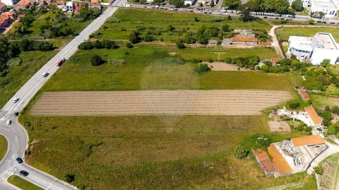 Terreno para Venda em Glória e Vera Cruz