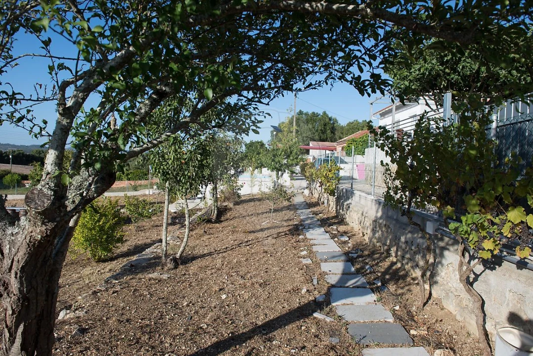 Terreno para Venda em Almargem do Bispo, Pêro Pinheiro e Montelavar Foto 19