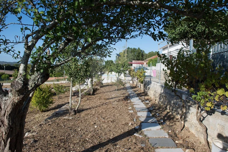 Terreno para Venda em Almargem do Bispo, Pêro Pinheiro e Montelavar Foto 19