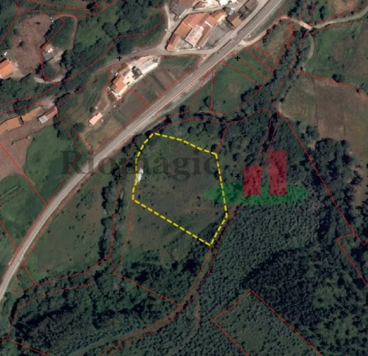 Terreno Agricola ou Rústico para Venda em Igreja Nova e Cheleiros Foto 1