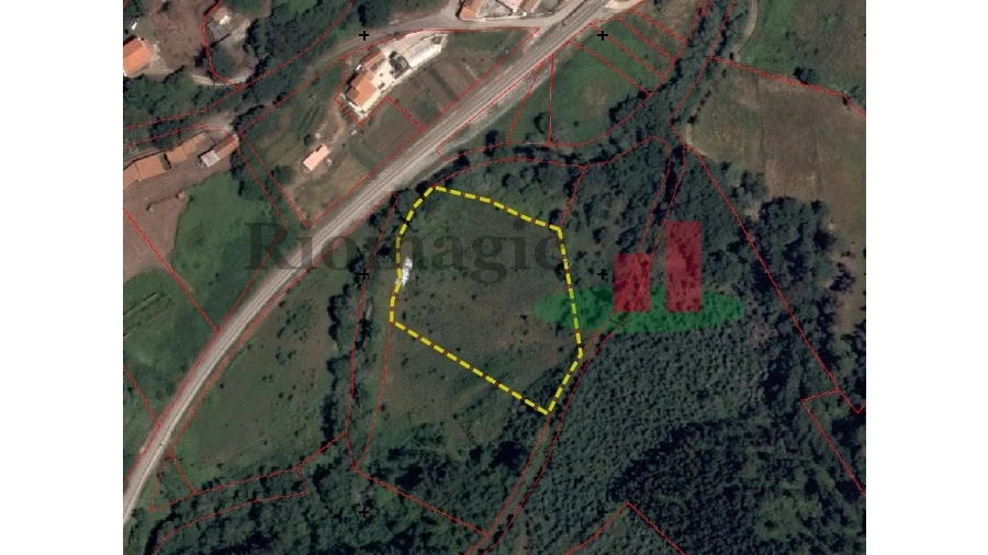Terreno Agricola ou Rústico para Venda em Igreja Nova e Cheleiros