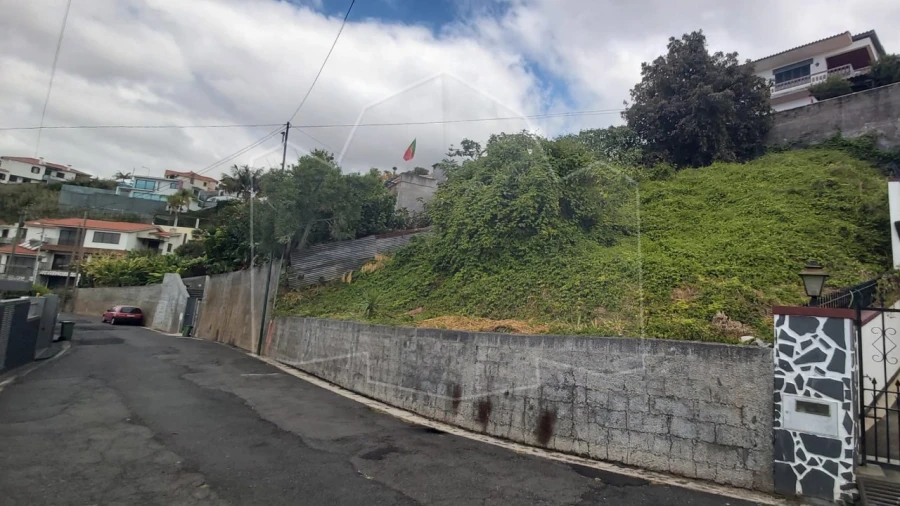 Terreno para Venda em Monte Foto 3