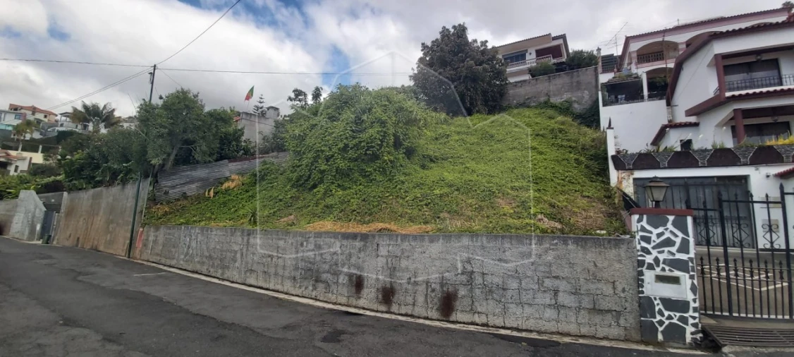 Terreno para Venda em Monte Foto 4