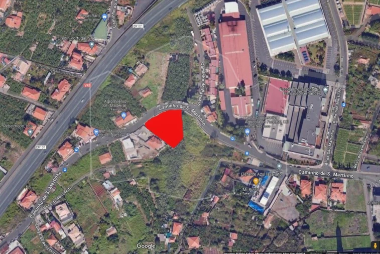 Terreno para Venda em São Martinho Foto 3