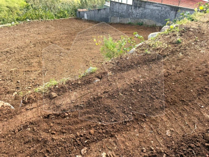 Terreno para Venda em São Martinho Foto 6