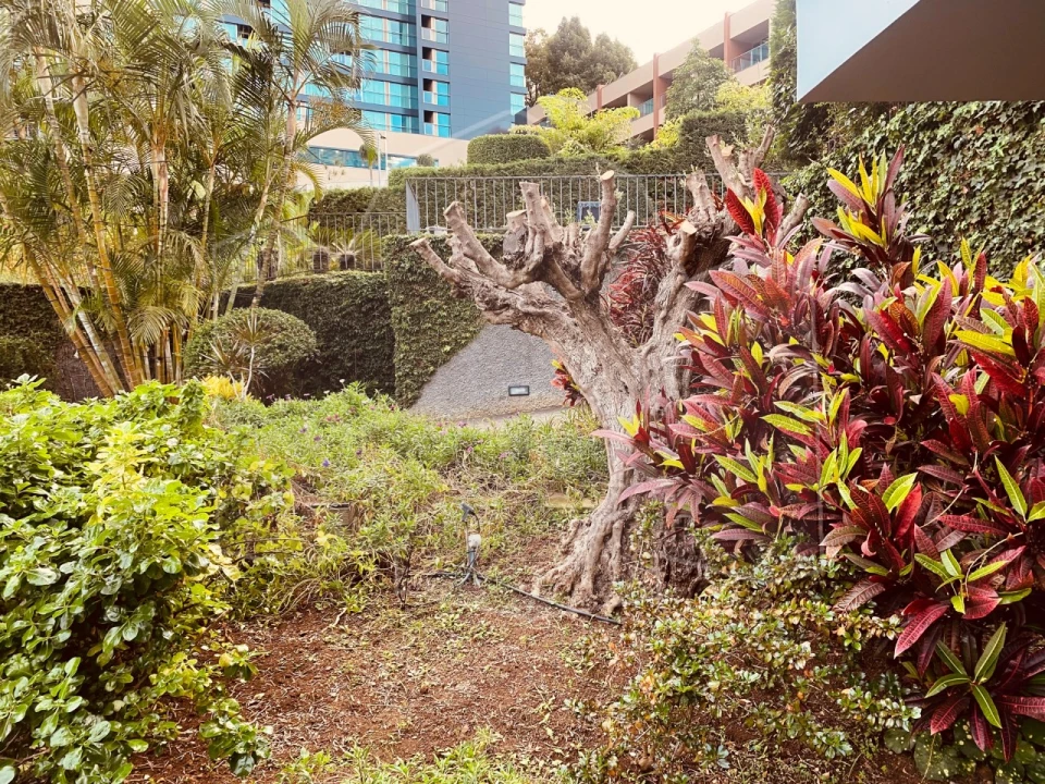 Apartamento T4 para Venda em Funchal (São Pedro) Foto 21