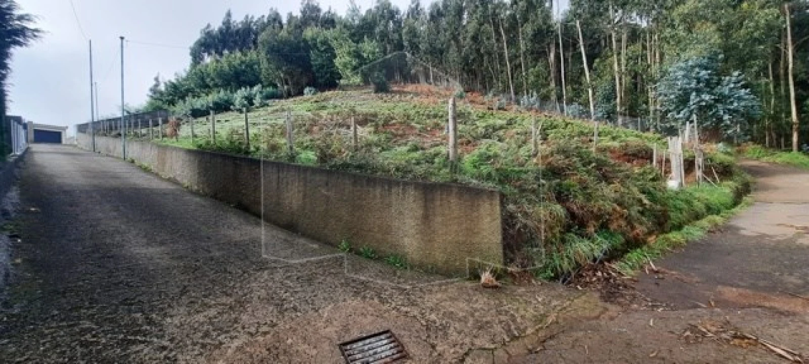 Terreno para Venda em Camacha Foto 2