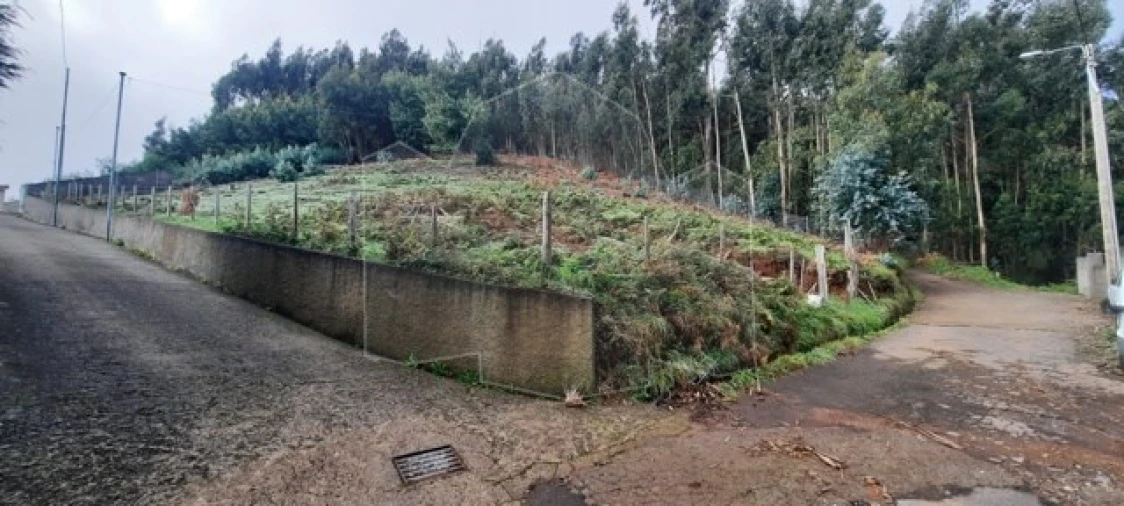 Terreno para Venda em Camacha Foto 1