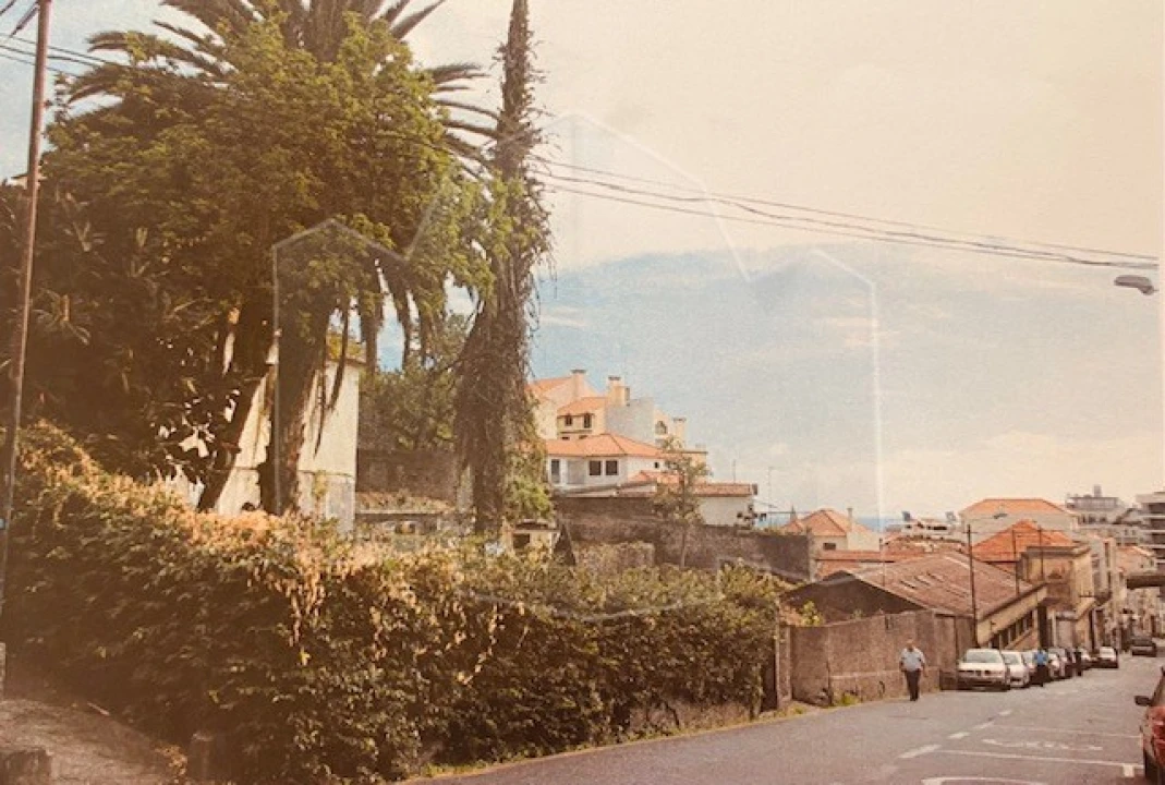 Terreno para Venda em Funchal (Santa Luzia) Foto 3
