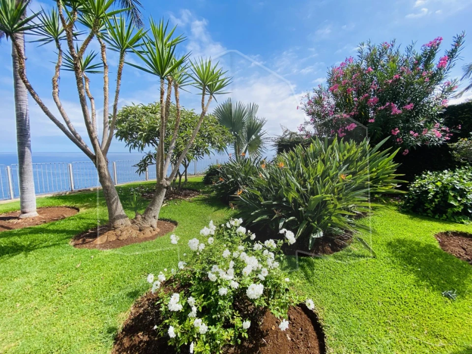 Apartamento T5 para Venda em São Martinho Foto 25
