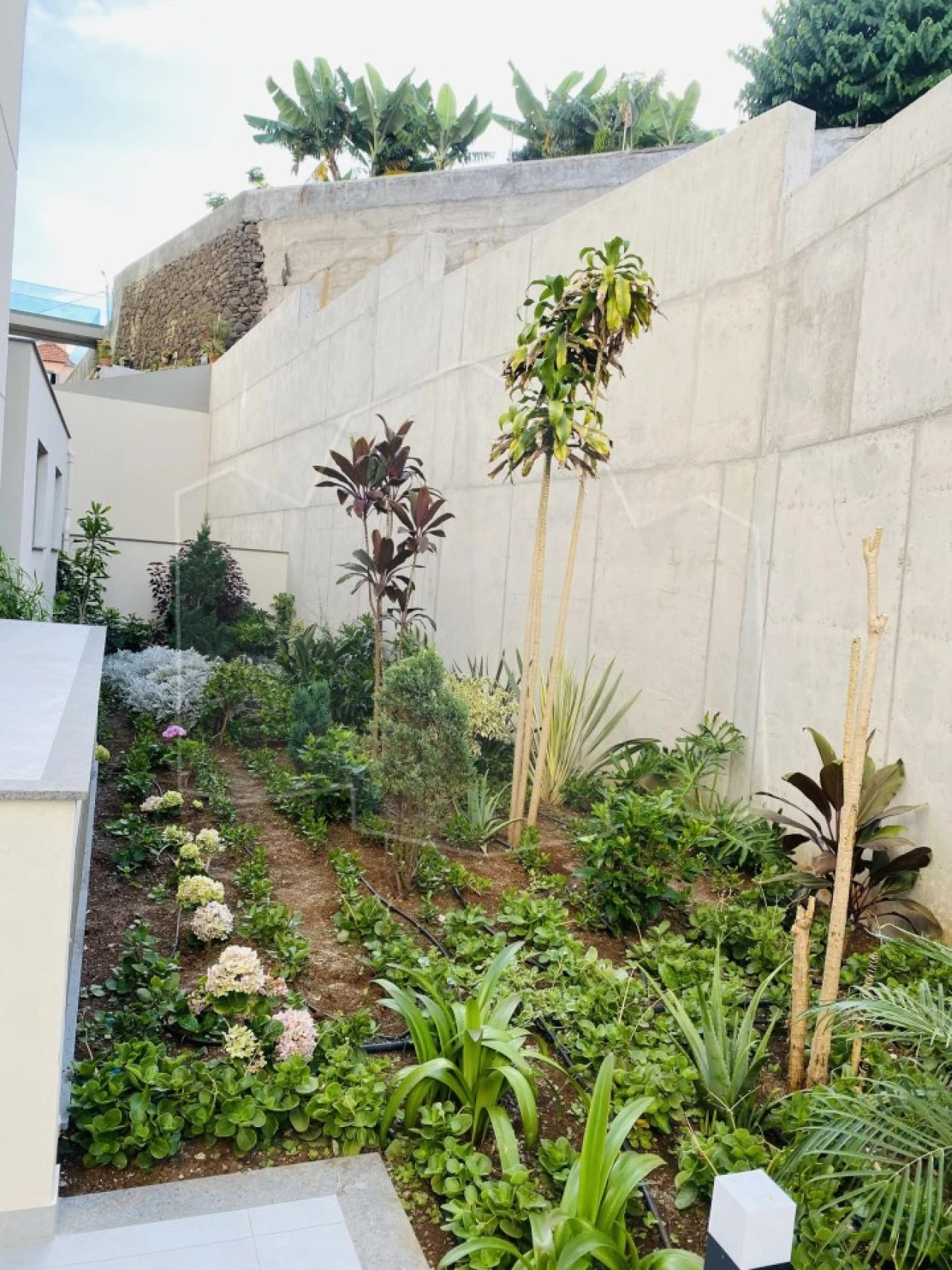 Apartamento T2 para Venda em Camara de Lobos Foto 14