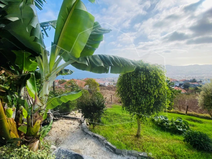 Moradia T5 para Venda em Funchal (Santa Maria Maior) Foto 3