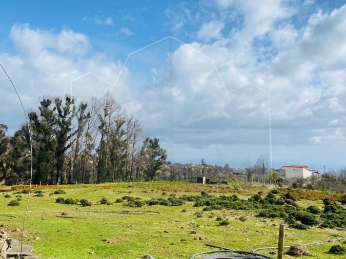 Terreno para Venda em Fajã da Ovelha