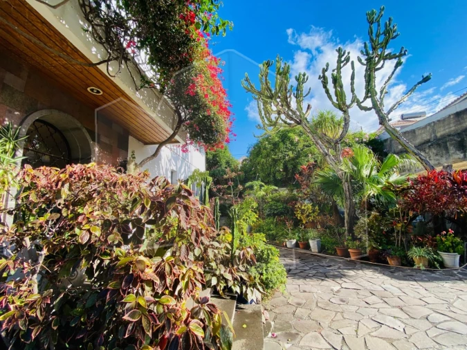 Moradia T3 para Venda em Funchal (Santa Maria Maior) Foto 2