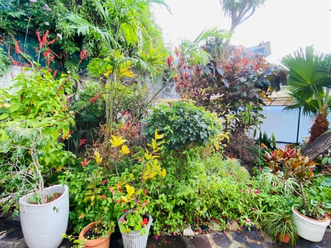 Moradia T3 para Venda em Funchal (Santa Maria Maior) Foto 25