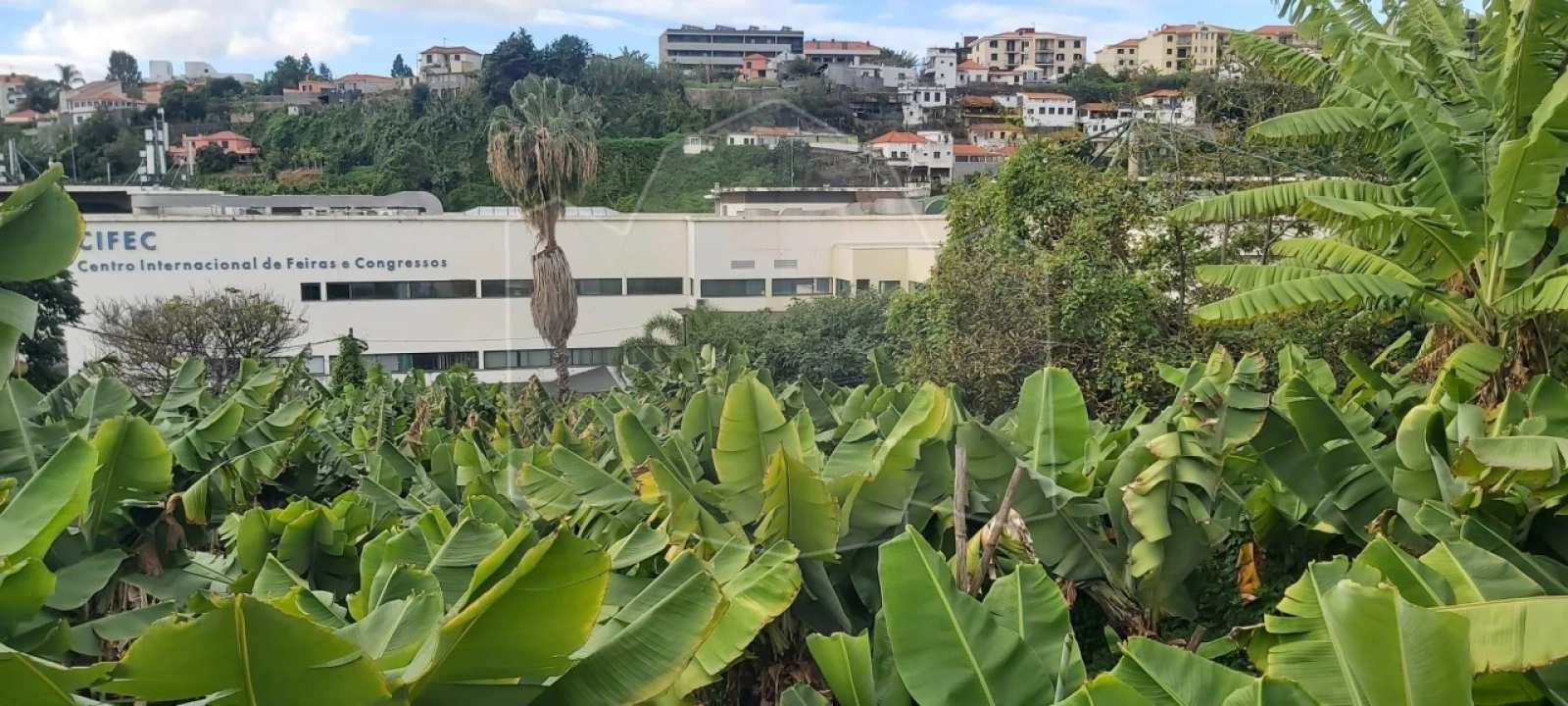 Moradia T2 para Venda em São Roque Foto 4