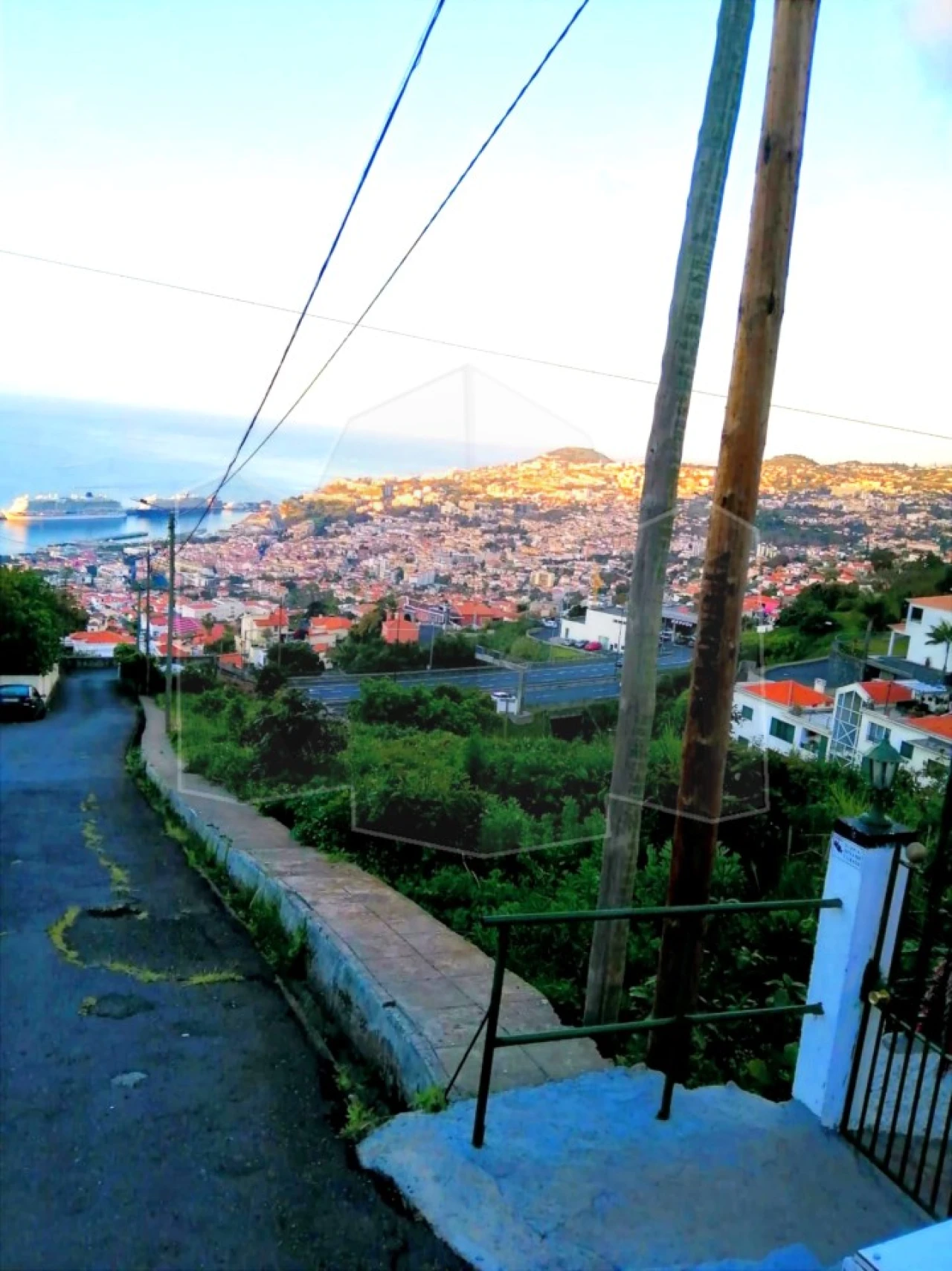 Terreno Agricola ou Rústico para Venda em Funchal (Santa Maria Maior) Foto 7