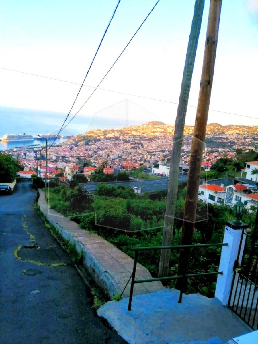 Terreno Agricola ou Rústico para Venda em Funchal (Santa Maria Maior) Foto 7