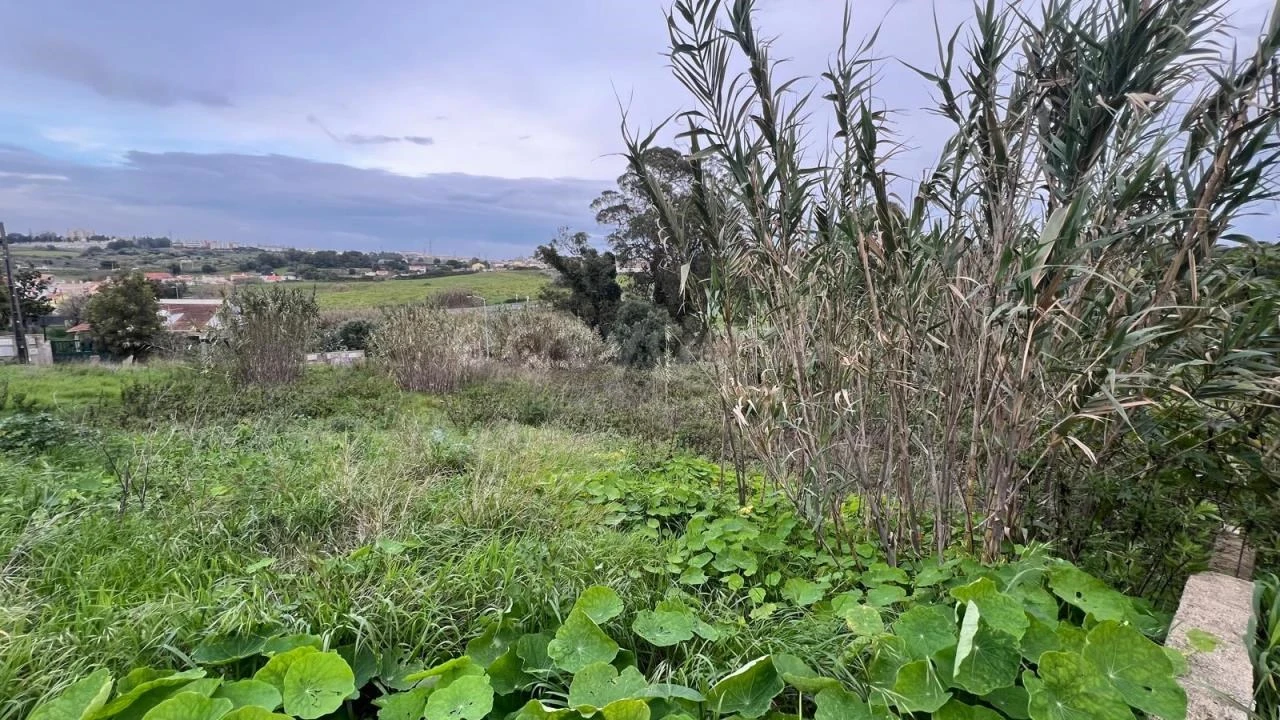 Terreno para Venda em Caparica e Trafaria Foto 5
