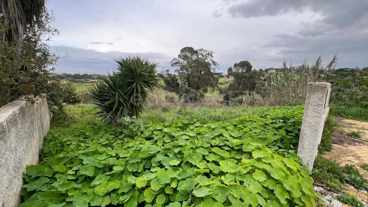 Terreno para Venda em Caparica e Trafaria Foto 10