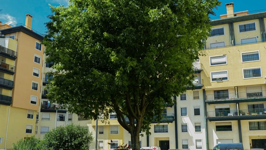 Garagem para Venda em Cascais e Estoril