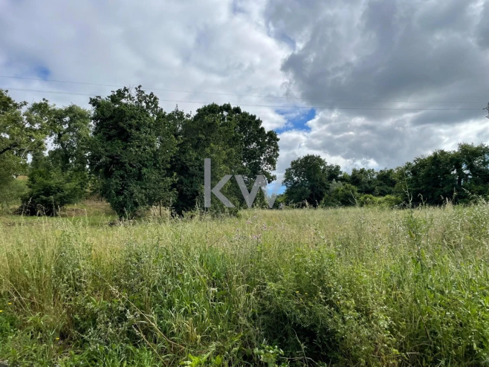 Terreno para Venda em Taveiro, Ameal e Arzila Foto 4